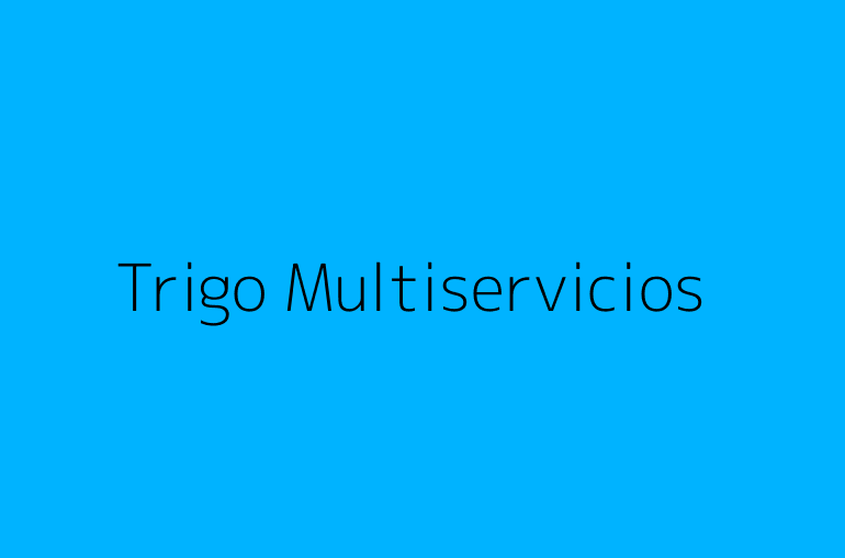 Trigo Multiservicios